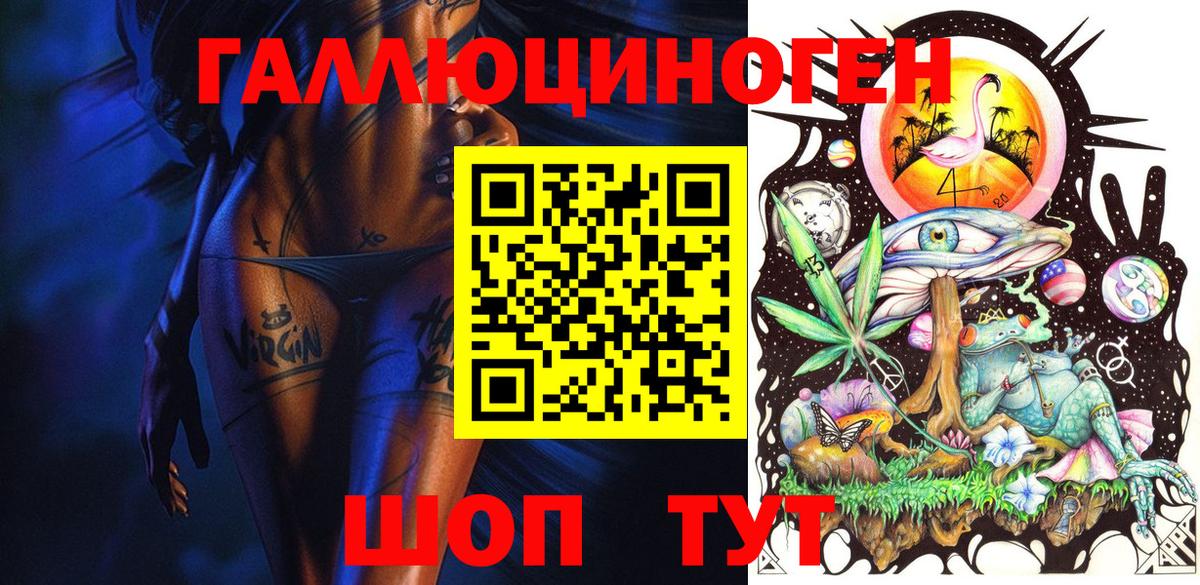 Галлюциногенные грибы Psilocybe Бор