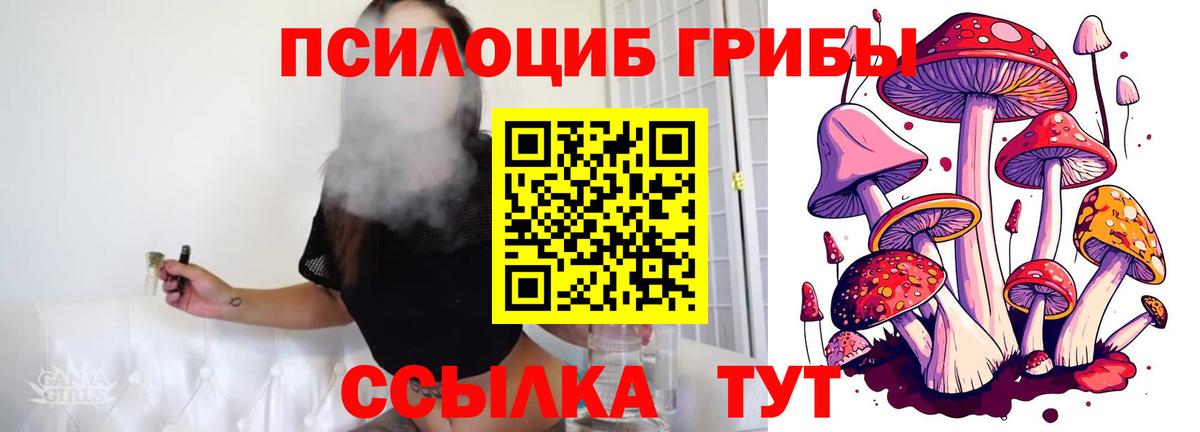 магазин продажи   Галлюциногенные грибы Psilocybe  Псилоцибиновые грибы мицелий  Вход с VPN  Бор 